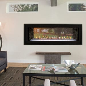 DVLL48SP RoomScene