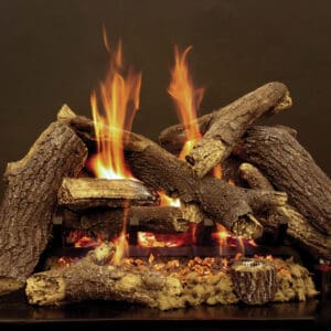 Pioneer EliteRadiantBurner-1024x714-1