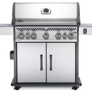 Rogue-RSE625RSIB-1-Prod-Str-SS-KnobsOn-scaled