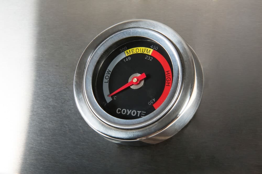 Thermometer-6